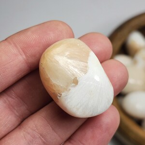 May include: A polished, oval-shaped stone with a creamy beige and white color scheme. The stone has a smooth, glossy surface and a unique pattern of radiating lines. The stone is held in a hand.