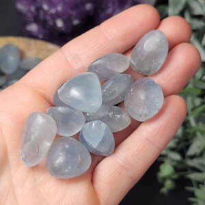 May include: A collection of smooth, light blue tumbled celestite stones. The stones are various shapes and sizes, and have a slightly cloudy appearance.
