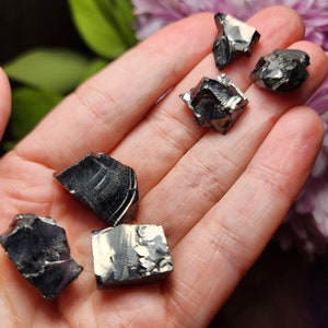 May include: Five pieces of raw, black, metallic, rough, and irregularly shaped crystals. The crystals are in a person's hand.