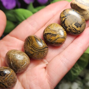 May include: A collection of polished, oval-shaped stones with a mix of brown, black, and tan patterns. The stones are held in a hand, showcasing their smooth texture and natural variations. The stones appear to be a type of jasper.