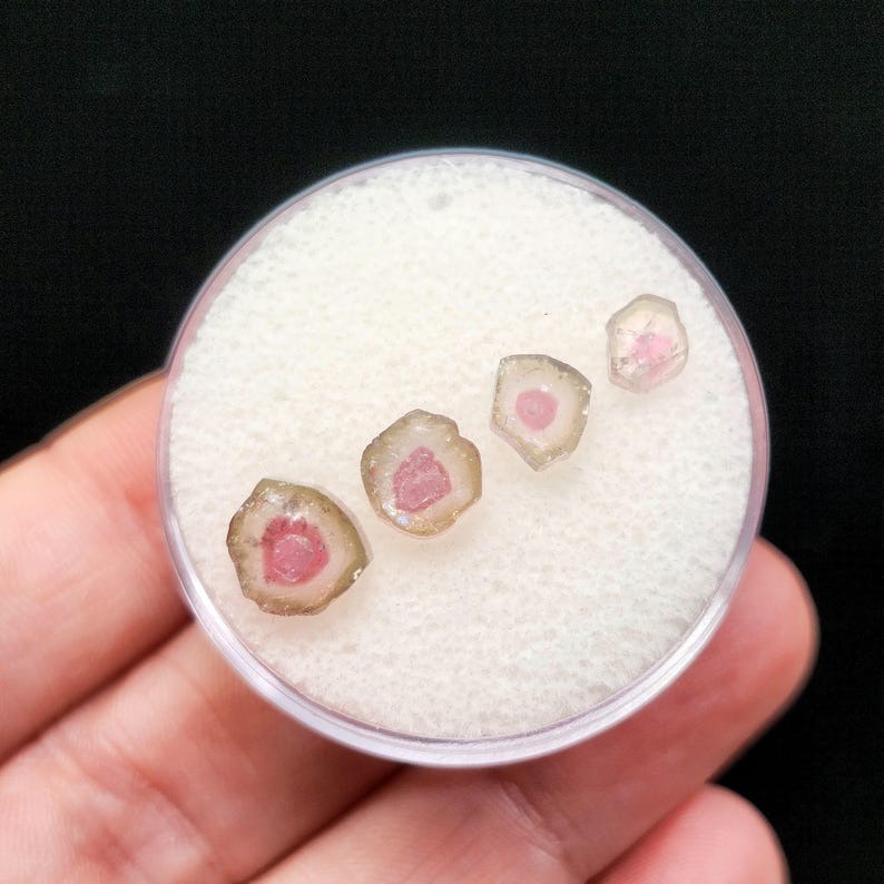 May include: Four small, raw watermelon tourmaline slices arranged in a diagonal line inside a circular clear plastic container with a white foam insert. Each gemstone features a vibrant pink centre surrounded by a translucent, pale green outer ring.