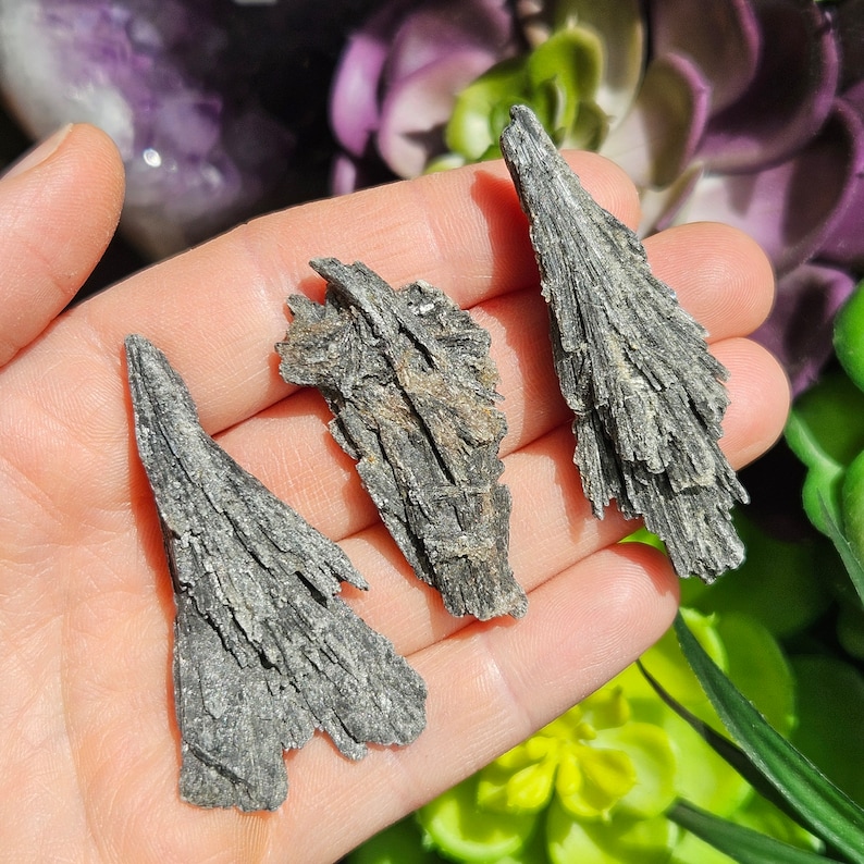 May include: Three pieces of black selenite, a type of crystal, in the shape of thin, flat blades. The crystals are arranged in a hand, with the tips of the blades pointing upwards.