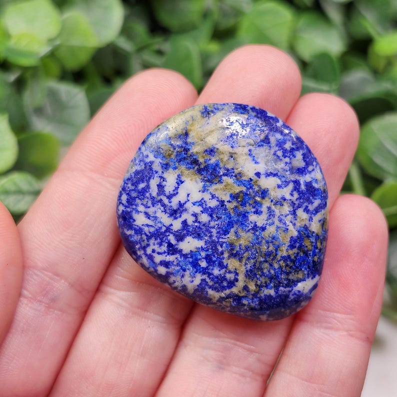 May include: A polished, oval-shaped lapis lazuli stone. The stone features a deep blue color with white and gold flecks throughout. The gemstone is held in a person's open palm, with green foliage in the background.