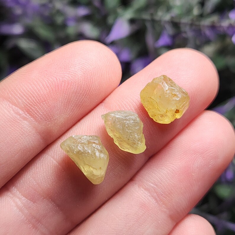 Puede incluir: Tres piedras preciosas en bruto, de color amarillo verdoso, se muestran en una mano. Las piedras tienen una forma natural e irregular y un aspecto ligeramente transl&uacute;cido. El fondo est&aacute; borroso, con toques de flores moradas.