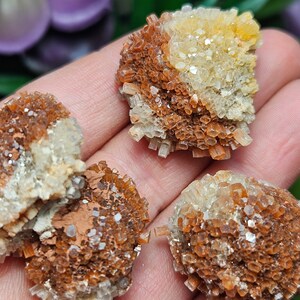 May include: Four small clusters of orange and white crystals. The crystals are clustered together in a rounded shape, resembling small flower buds.