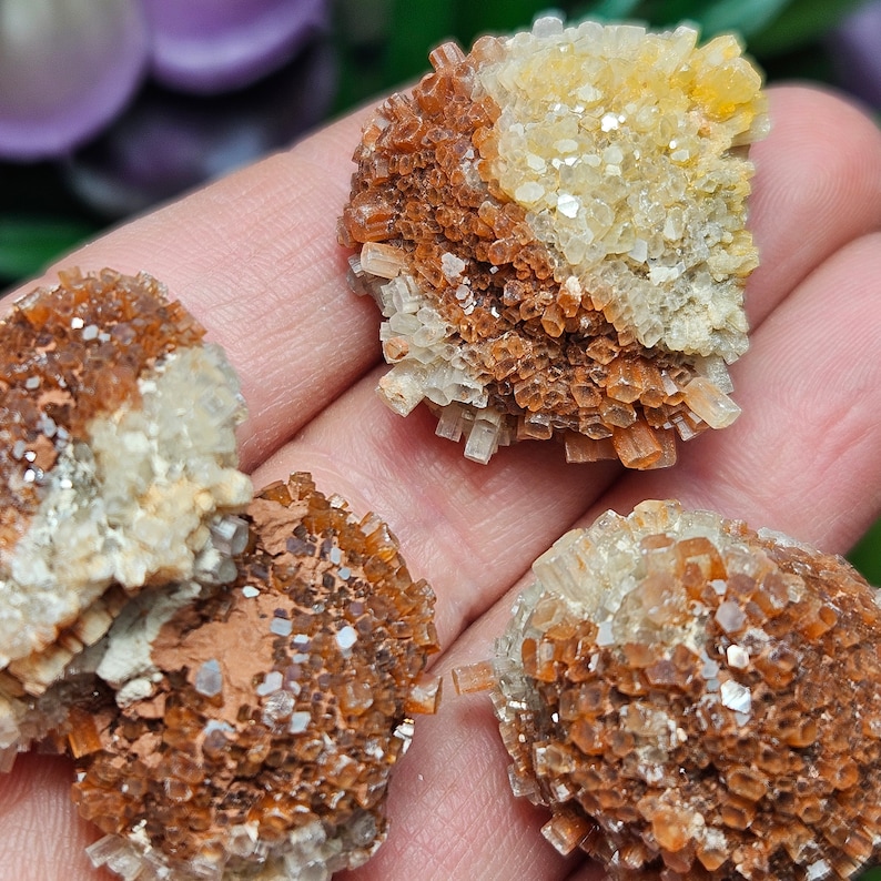 May include: Four small clusters of orange and white crystals. The crystals are clustered together in a rounded shape, resembling small flower buds.