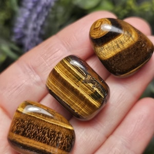 Tigers Eye Tumbled Stone: Polished Natural Gemstone