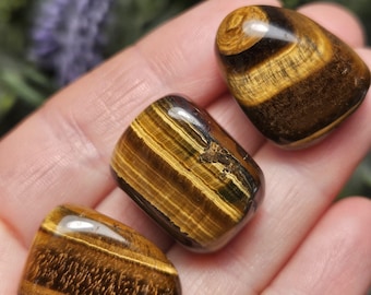 May include: Three polished tiger's eye gemstones with a smooth, rounded surface. Each stone displays a distinct chatoyant luster, featuring alternating bands of golden-yellow and dark brown colors that create a shimmering, fibrous appearance.