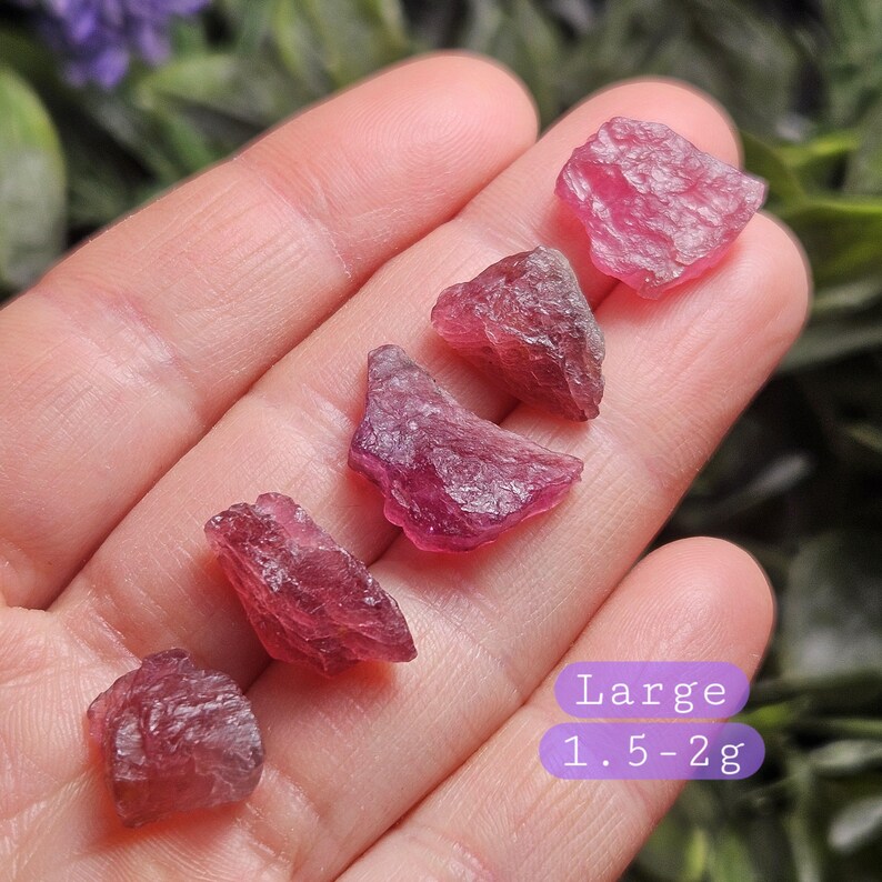 May include: Five raw, deep pink gemstone fragments with irregular, jagged surfaces. The stones are arranged in a line, and a purple label on the bottom right clearly displays the text Large 1.5-2g, indicating the weight of these specific pieces.