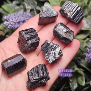 Peut inclure: Sept cristaux de tourmaline noire brute avec des structures colonnaires stri&eacute;es et des bords irr&eacute;guliers et dentel&eacute;s. Les pierres sont sombres, opaques et ont une texture naturelle non polie. Une &eacute;tiquette violette indique une taille moyenne de 8-15g.