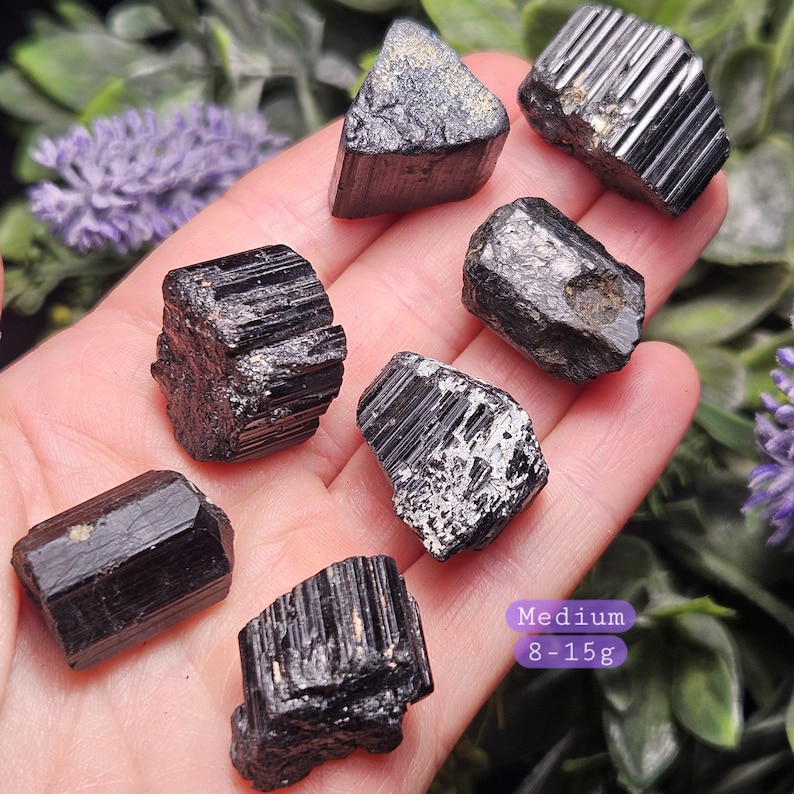 Peut inclure: Sept cristaux de tourmaline noire brute avec des structures colonnaires stri&eacute;es et des bords irr&eacute;guliers et dentel&eacute;s. Les pierres sont sombres, opaques et ont une texture naturelle non polie. Une &eacute;tiquette violette indique une taille moyenne de 8-15g.