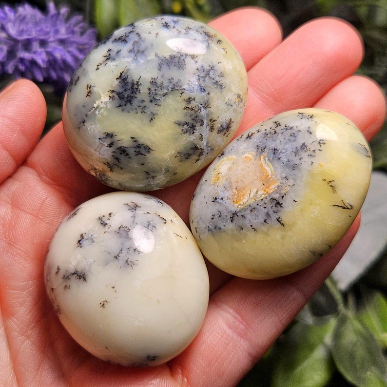 May include: Three polished, oval-shaped dendritic opal stones with a smooth, glossy finish. The stones feature a creamy, pale yellow and off-white base color with intricate, dark brown to black fern-like dendrite inclusions scattered across the surfaces.