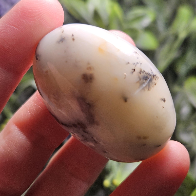Dendritic Green Opal Palm Stone (1.25"+), Polished Dendritic Opal Crystal image 3