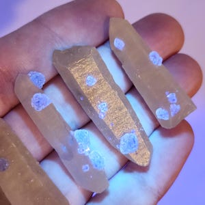 ♯Hvi12DZ もやしもん かもされ 水晶 ストラップ3 全6種 Mongolian Quartz - Etsy