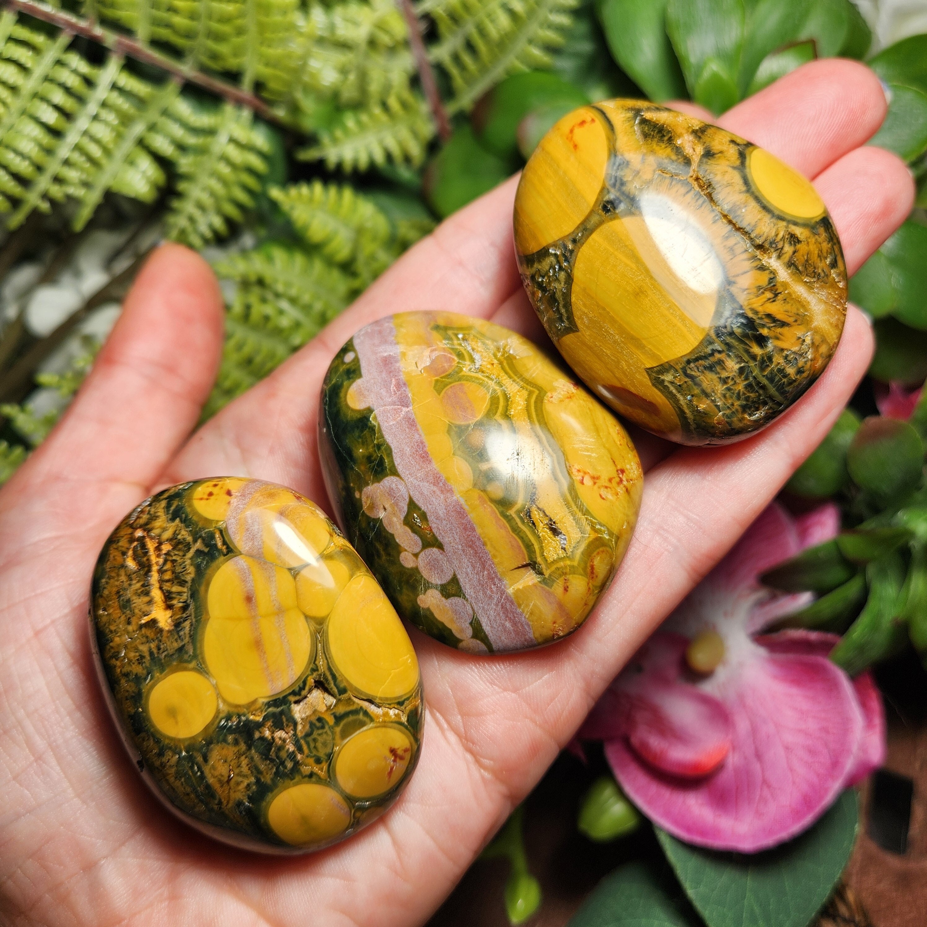 Yellow orbicular ocean jasper - Etsy 日本