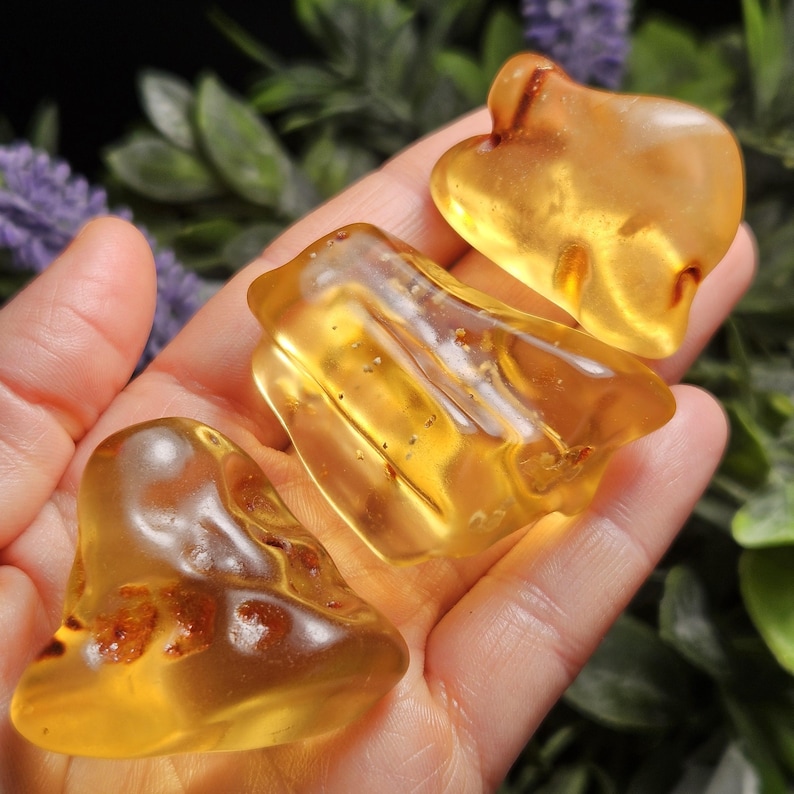 May include: Three polished amber stones with a translucent golden-yellow hue. Each piece features organic, irregular shapes with smooth, rounded edges and visible internal inclusions, showcasing a warm, honey-like color and glossy texture.