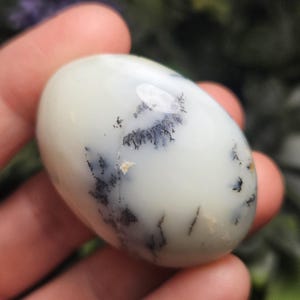 May include: A smooth, polished, oval-shaped dendritic agate stone with a creamy off-white base color. The surface features intricate, dark grey to black fern-like inclusions that branch out across the stone, creating a natural, tree-like pattern.