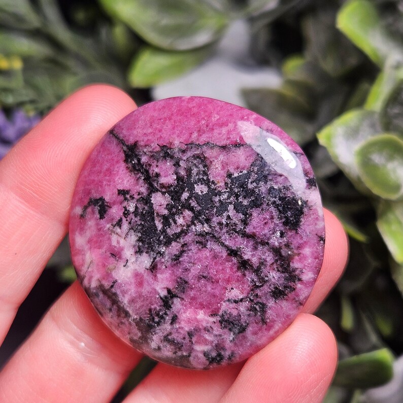 May include: A circular, polished rhodonite stone featuring a vibrant magenta pink base color with intricate, branching black manganese oxide inclusions that create a stark, natural contrast across the smooth, reflective surface of the gemstone.