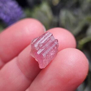 May include: A small, raw, pink tourmaline crystal with a ridged texture. The crystal is held between two fingers, with a blurred green and purple background.