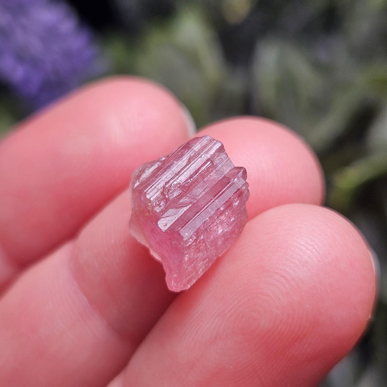 May include: A small, raw, pink tourmaline crystal with a ridged texture. The crystal is held between two fingers, with a blurred green and purple background.