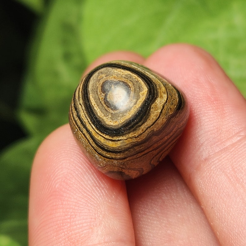 May include: A polished, rounded stone with a unique pattern of concentric rings in shades of brown, black, and tan. The stone has a smooth, tactile surface and a central, lighter-colored area. The natural stone is held in a person's hand.