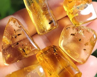 May include: Close-up of several pieces of amber, showcasing a warm, golden-yellow hue. Each piece is translucent, with visible inclusions of insects. The amber pieces vary in shape, from rectangular to rounded, and are displayed against a soft background.