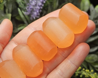 May include: Five orange, cylindrical stones are held in a hand. The stones have a smooth, polished finish and are arranged in a line. The background shows green leaves and purple flowers, creating a natural setting for the stones.