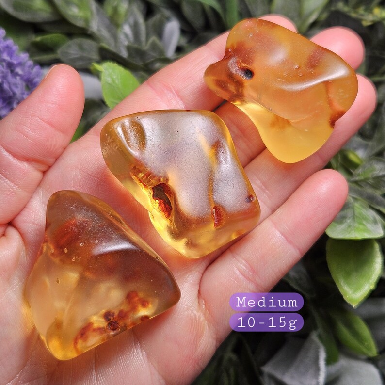 May include: Three polished amber stones with translucent golden and honey-colored hues, featuring internal organic inclusions and natural variations. A purple label indicates the size as Medium with a weight range of 10-15g.
