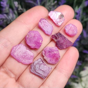 May include: A collection of eight pink ruby crystals of varying sizes and shapes. The crystals are raw and have a natural, rough texture.