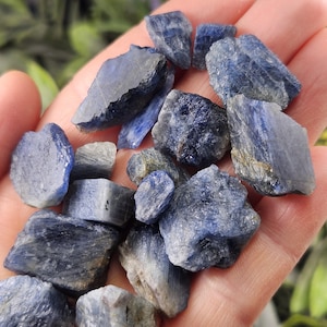 May include: A handful of raw, natural blue kyanite crystals. The crystals vary in size and shape, displaying a range of deep blue hues with some gray undertones. The rough texture and irregular forms highlight their natural state.