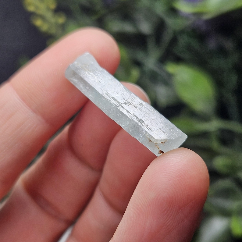 Puede incluir: Cristal de aguamarina azul p&aacute;lido, sostenido entre los dedos. El cristal rectangular tiene estr&iacute;as internas visibles y una textura ligeramente rugosa. Es transl&uacute;cido y refleja la luz. El fondo est&aacute; borroso, con follaje verde y morado. Mide aproximadamente 2 cm.