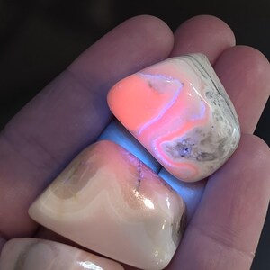 May include: Two polished, smooth, irregularly shaped stones with a glossy finish. The stones exhibit bands of cream, beige, and grey, with one stone displaying a vibrant, glowing neon pink fluorescence under ultraviolet light against the neutral tones.