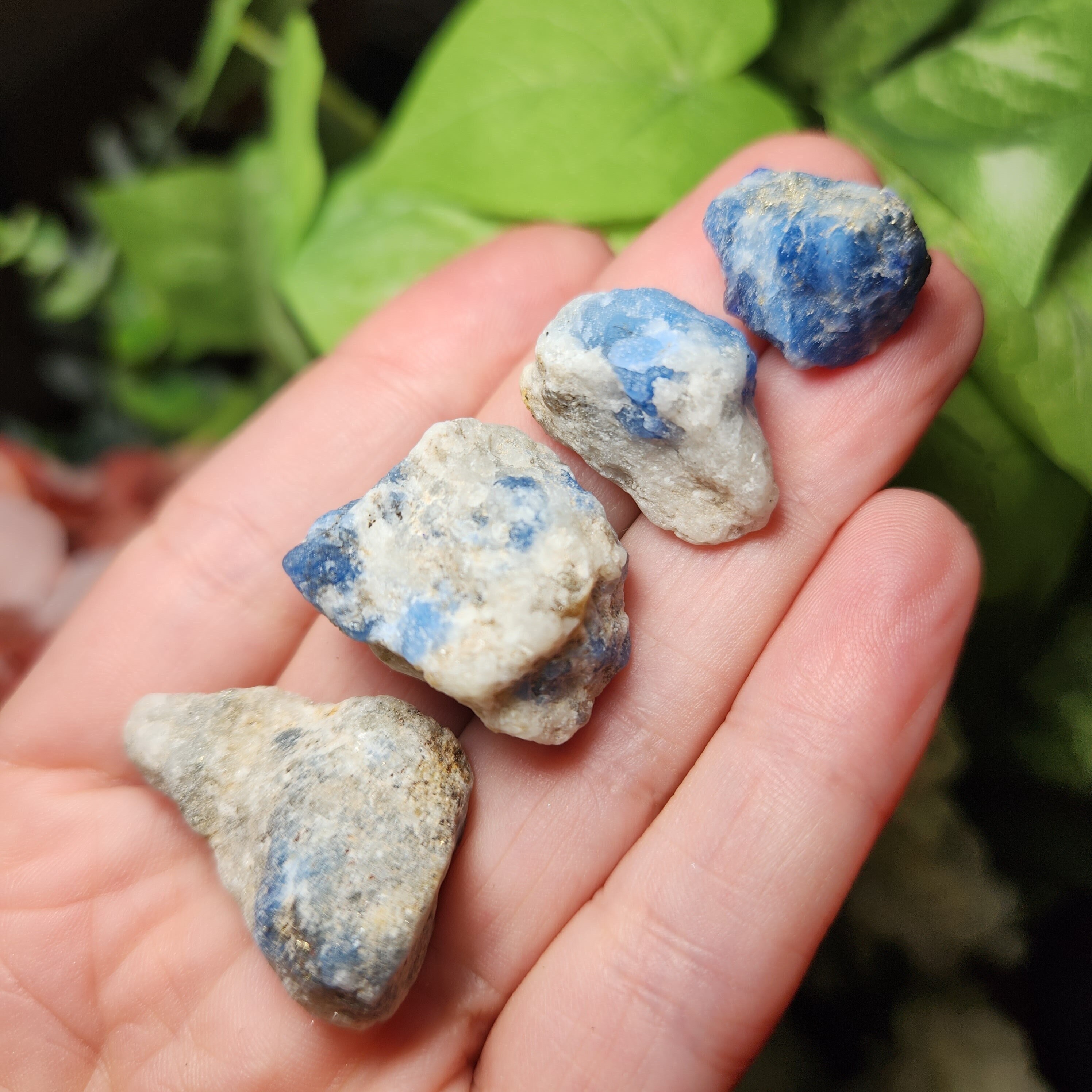 ブルーハックマナイト標本：希少ハックマナイト結晶 - Etsy 日本