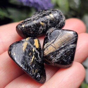 May include: Three polished black stones with gold-colored inclusions. The stones have a smooth, rounded shape and are held in a hand. The gold inclusions create a striking contrast against the dark background. These stones are ideal for collectors or those interested in crystals.