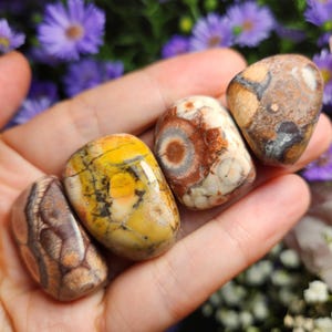 Rhyolite Tumbled Crystal: Amulet Stone, Birds Eye Rhyolite