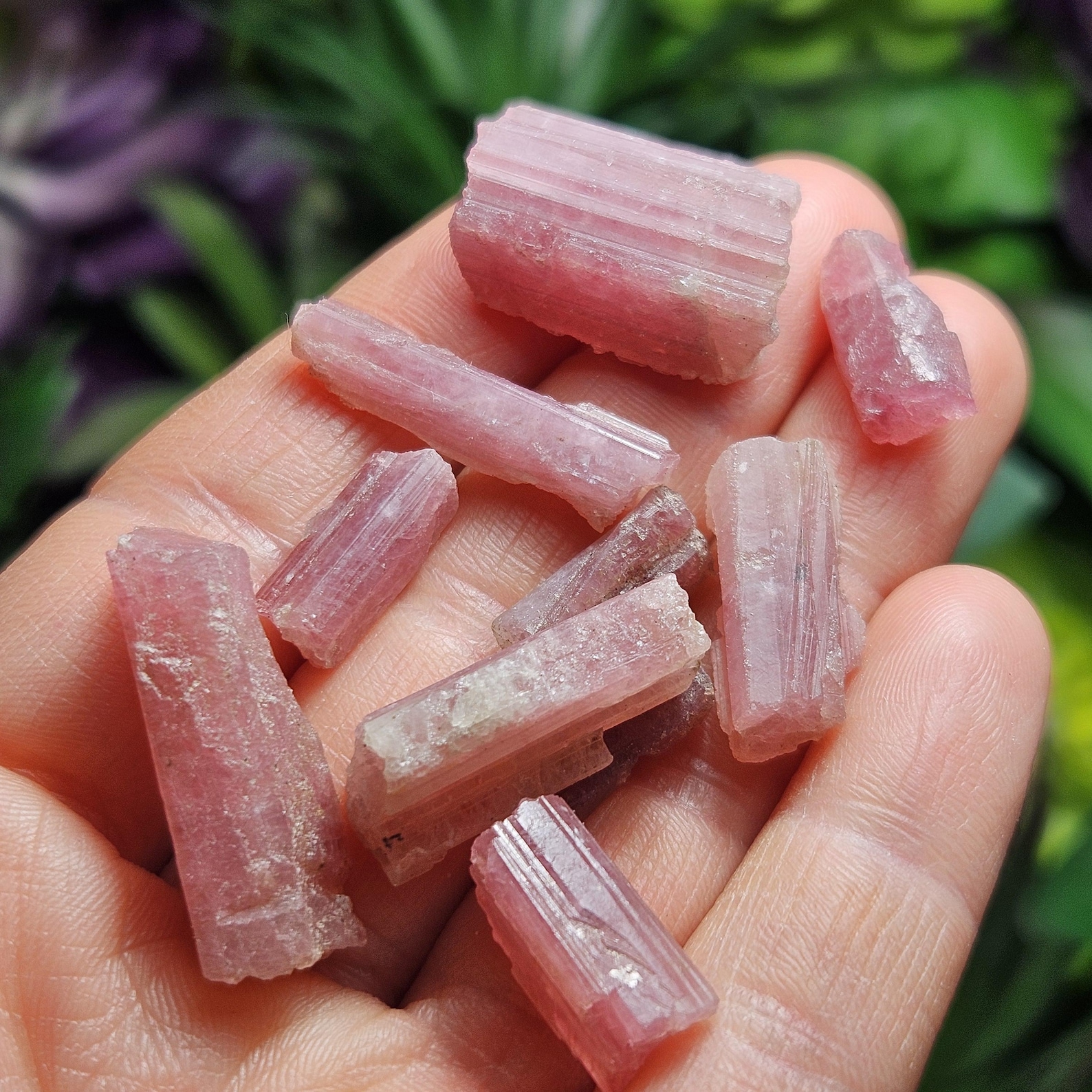 Raw pink tourmaline crystals in hand, ideal for emotional healing and heart chakra balance for Cancer.