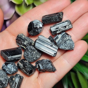 Peut inclure: Une collection de petits cristaux de tourmaline noire brute aux formes allong&eacute;es et stri&eacute;es et aux bords irr&eacute;guliers et dentel&eacute;s. Les pierres pr&eacute;sentent une texture de surface sombre, opaque et r&eacute;fl&eacute;chissante avec des facettes naturelles.