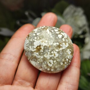 May include: A round, polished stone with a speckled pattern of white and tan spots. The stone is held in a hand, with a blurred green background. The stone's surface has a slightly rough texture, and the overall color is a mix of earthy tones.