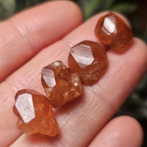 May include: Four raw, orange-brown garnet crystals with faceted surfaces are displayed. The crystals are held in a hand, showcasing their natural, rough texture and warm color. The gemstones vary slightly in size and shape, reflecting their organic origin.