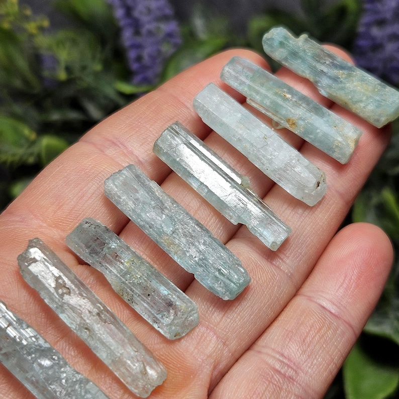 Puede incluir: Una colecci&oacute;n de espec&iacute;menes de cristal de aguamarina azul p&aacute;lido. Los cristales se sostienen en una mano, mostrando sus formas naturales y alargadas, y sus sutiles variaciones de color y textura. Los cristales son de un azul claro y transl&uacute;cido.