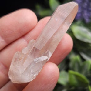 May include: A clear, elongated quartz crystal cluster featuring a prominent, sharp-pointed main termination and several smaller, secondary crystal points growing from the base, displaying natural facets and a translucent, glassy texture.