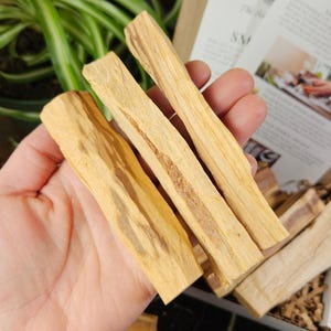 Palo Santo Sticks, Natural Incense Wood, Choose Your Quantity, 3.5–4” Sticks