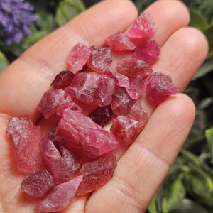 May include: A collection of small, raw, unpolished gemstone fragments in varying shades of deep pink and magenta. These translucent, angular mineral pieces feature irregular, jagged edges and a crystalline texture, resting together in a cluster.