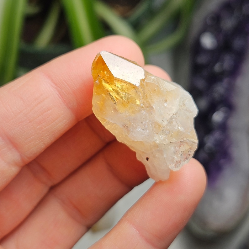May include: A raw citrine crystal point featuring a translucent golden-yellow tip that transitions into a cloudy, semi-opaque white base. The mineral specimen displays natural facets and irregular edges, showcasing a distinct color gradient.