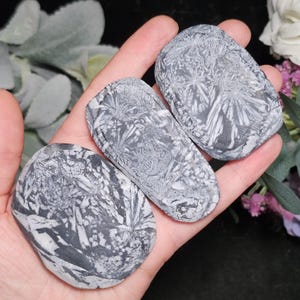May include: Four gray and white patterned stones of varying shapes are held in a hand. The stones have a unique, natural design with a mix of gray and white colors. The stones are smooth and polished, perfect for collecting or display.