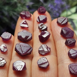 K&ouml;nnte beinhalten: Eine Sammlung von 16 kleinen, dunkelvioletten, facettierten Rubinkristallen. Die Kristalle sind auf einer Hand angeordnet, wobei sich einige Kristalle &uuml;berlappen.