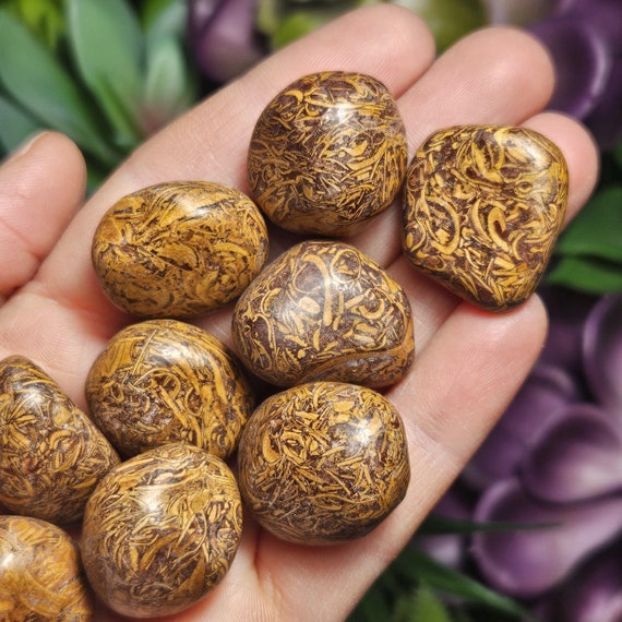 Mirium Jasper Palm Stones Mirium Jasper Palm Stones