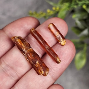 May include: Three pieces of amber, varying in size and shape, are displayed. The amber pieces range in color from a deep reddish-brown to a lighter, more translucent hue. The pieces have a natural, organic appearance.