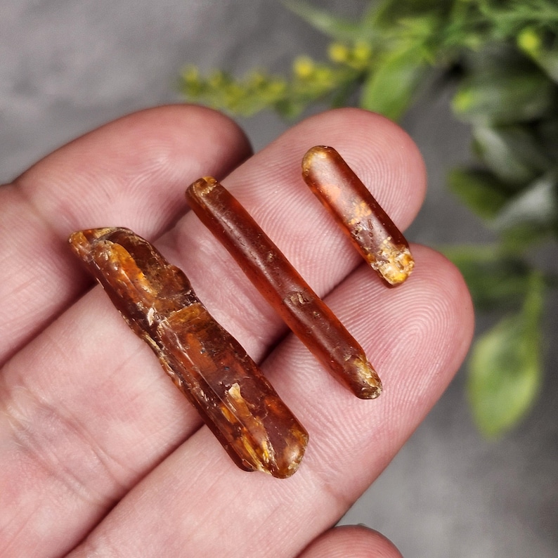May include: Three pieces of amber, varying in size and shape, are displayed. The amber pieces range in color from a deep reddish-brown to a lighter, more translucent hue. The pieces have a natural, organic appearance.