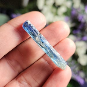 May include: A blue kyanite crystal point with a striated surface. The crystal is about 2 inches long and has a light blue color.
